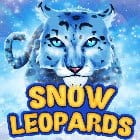 Snow Leopards screenshot